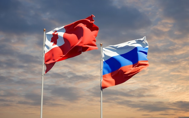Belle bandiere nazionali dello stato di Tonga e Russia insieme sul cielo blu. Grafica 3D