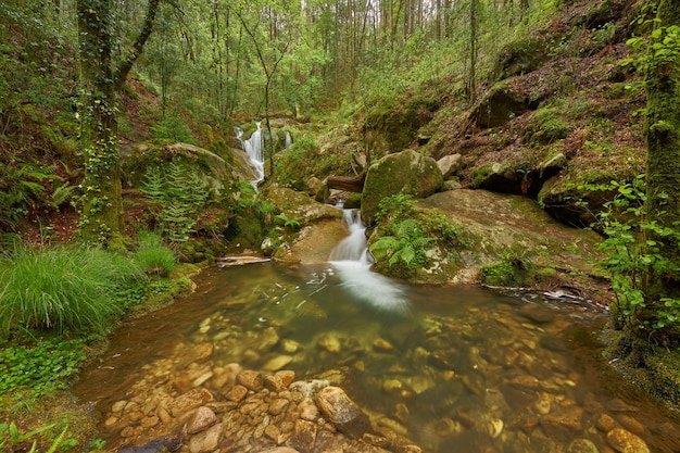 Belle cascate formate da un fiume nella zona della Galizia, in Spagna.