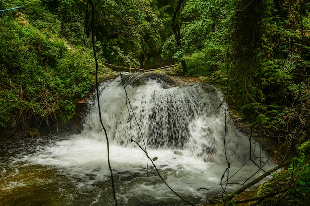 Belle cascate nella giungla.