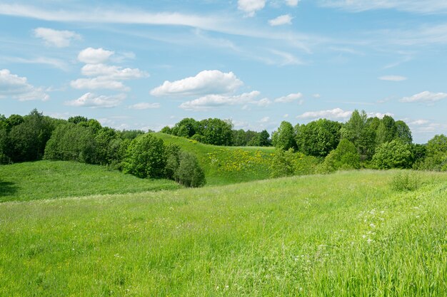 Belle colline verdi della regione di Pskov, Russia sotto la luce del sole all'inizio dell'estate.