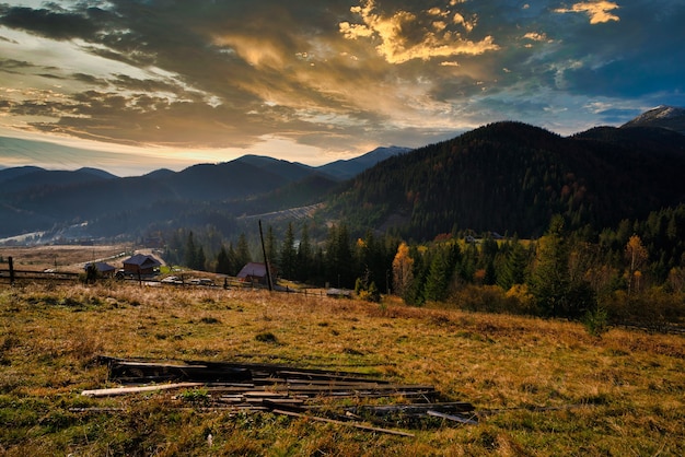 Belle colline verdi ricoperte di alberi autunnali colorati nelle meravigliose montagne dei Carpazi