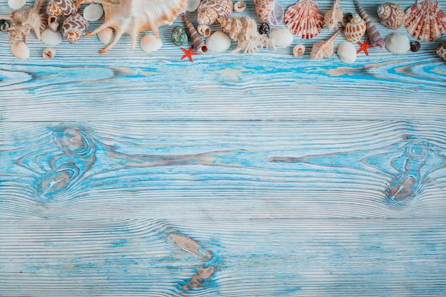 Belle conchiglie differenti su un fondo di legno blu. Vista dall&#39;alto