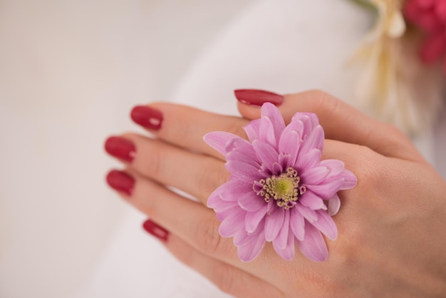 Belle dita con french manicure sull'asciugamano. Manicure in un salone di bellezza.