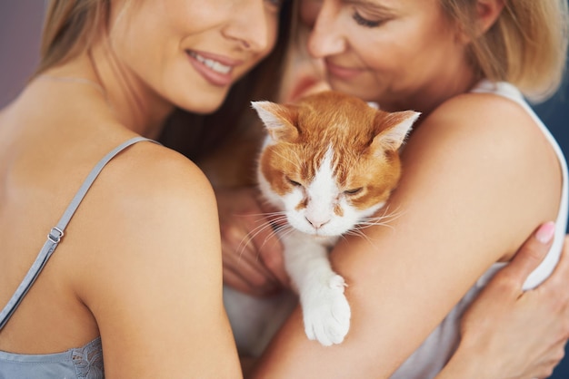 Belle due ragazze adulte in casa con il gatto