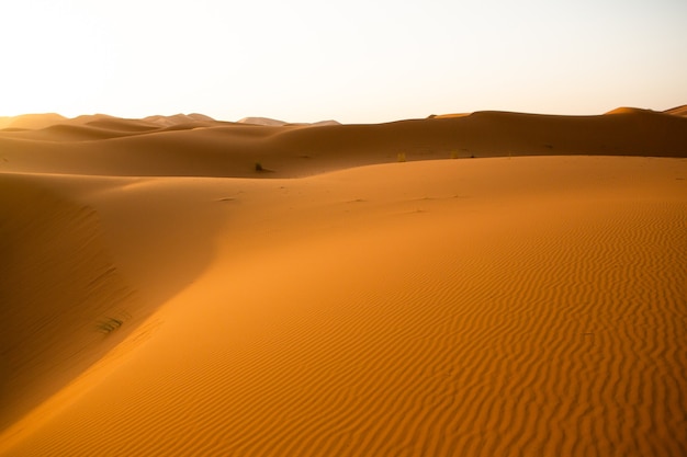 Belle dune di sabbia nel deserto del Sahara in Marocco