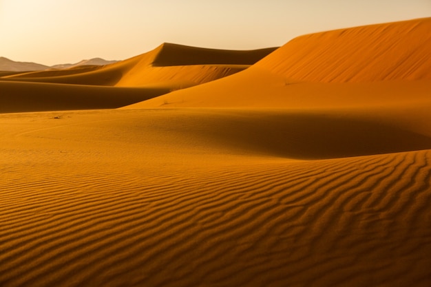 Belle dune di sabbia nel deserto del Sahara in Marocco