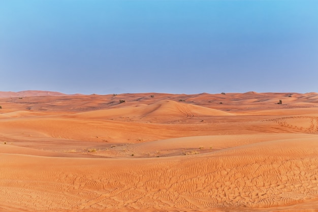 Belle dune di sabbia nel deserto.