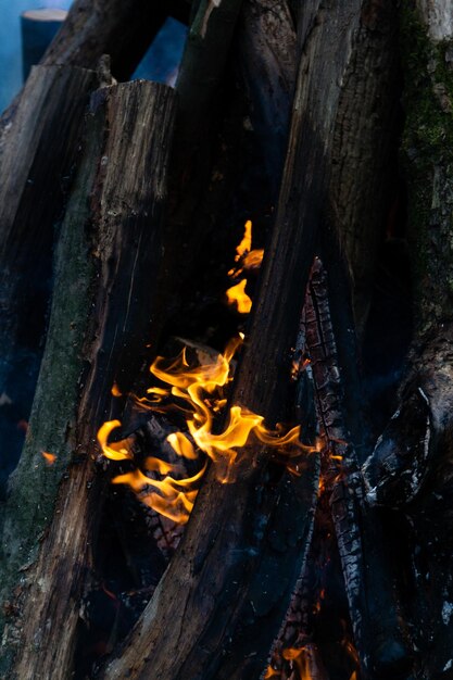 Belle fiamme di fuoco su un falò