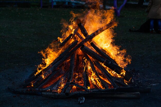 Belle fiamme di fuoco su un falò