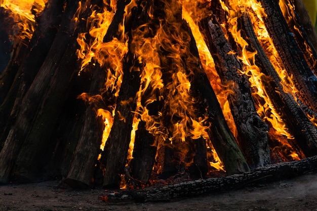 Belle fiamme di fuoco su un falò