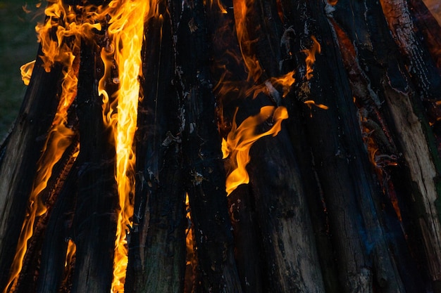 Belle fiamme di fuoco su un falò