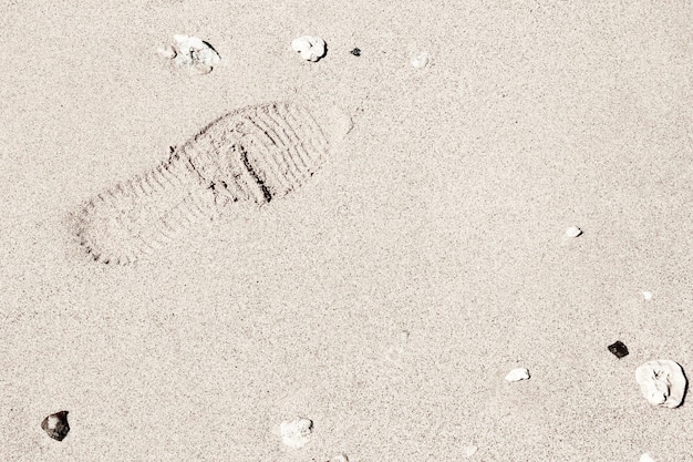 Belle impronte sullo sfondo della natura del mare di sabbia