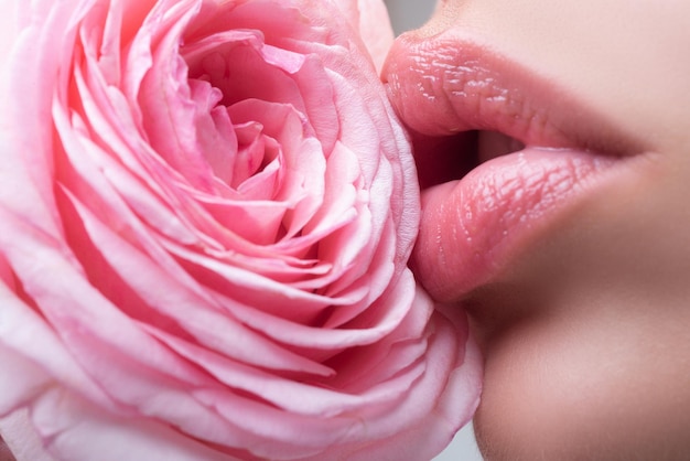 Belle labbra della donna con rosa Belle labbra Bellezza Labbra estetiche Bellezza estetica