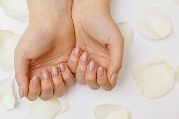 Belle mani con manicure e petali di rose bianche