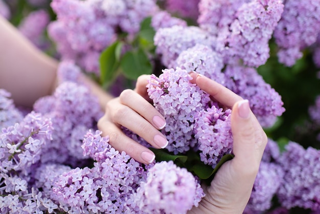 Belle mani di donna con french manicure su fiori lilla