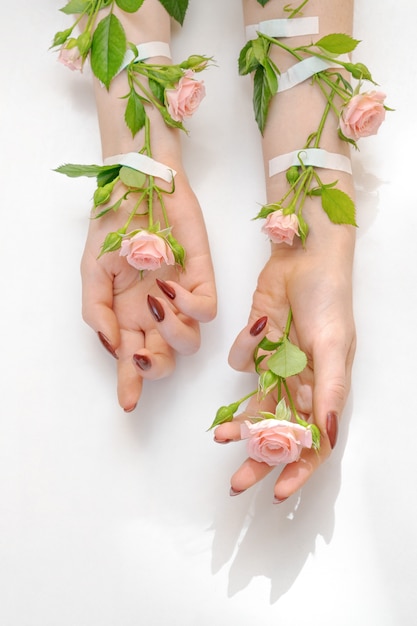 Belle mani femminili con i fiori della rosa di rosa isolati