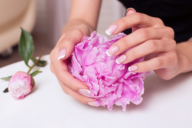 Belle mani femminili con il manicure francese che tiene le peonie