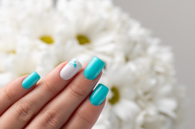 Belle mani femminili con unghie di manicure blu su sfondo di camomilla