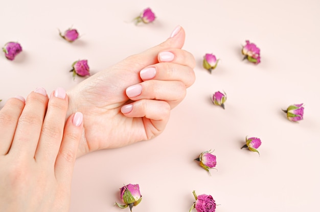 Belle mani femminili su uno sfondo di boccioli di rosa