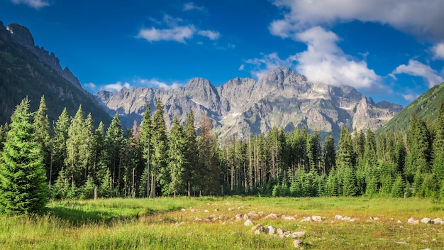 Belle montagne di Tartas all'alba in estate Polonia Europa