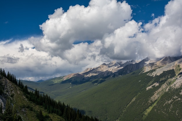 Belle montagne rocciose canadesi in Canada. Banff Alberta