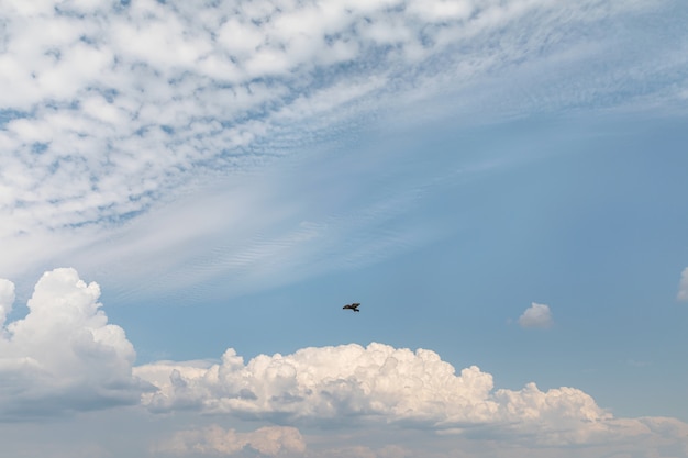 Belle nuvole bianche contro il cielo blu