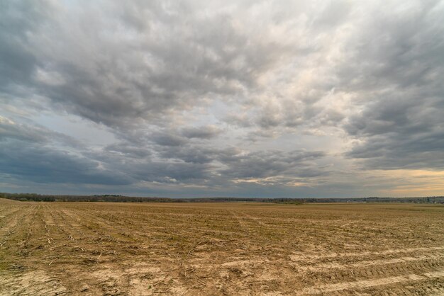 Belle nuvole nel cielo blu Sfondo atmosferico naturale