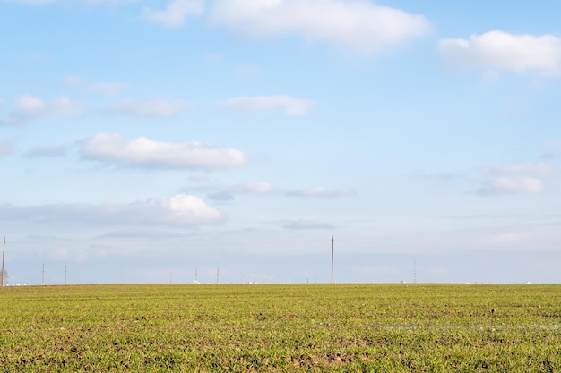 Belle nuvole sul campo del cielo blu