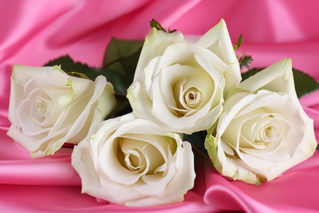 Belle rose bianche su raso rosa da vicino