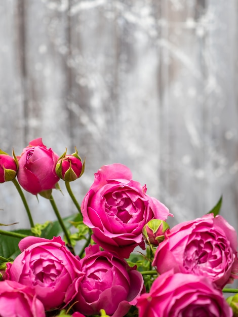 Belle rose di Bush di Bush, primo piano dei fiori di nozze.