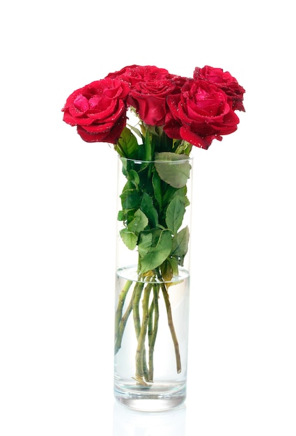 Belle rose rosse in un vaso isolato su bianco