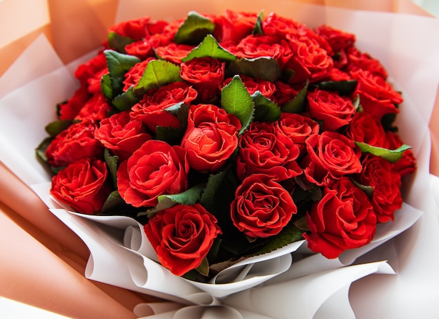 Belle rose rosse