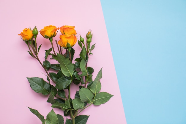 Belle rose su sfondi di carta multicolore con spazio di copia. Primavera, estate, fiori, concetto di colore. Consegna dei fiori