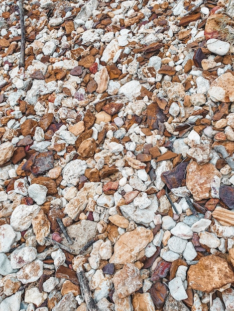 Belle spiagge del mondo