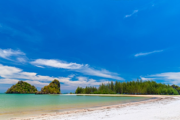 Belle spiagge sabbiose e vedute di alberi di pino a Paradise Islandin Krabi Thailandia