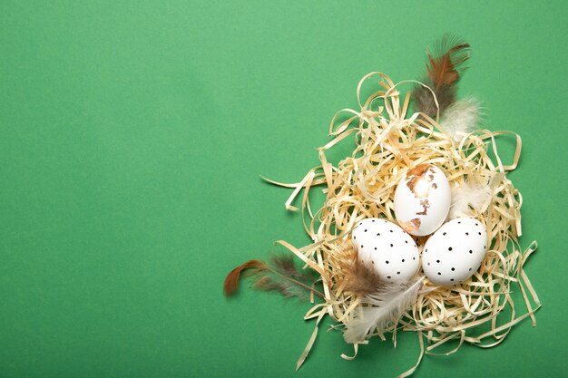 Belle uova di Pasqua in un nido su una priorità bassa verde