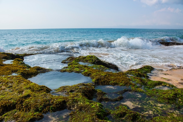 Belle vacanze estive sulla spiaggia