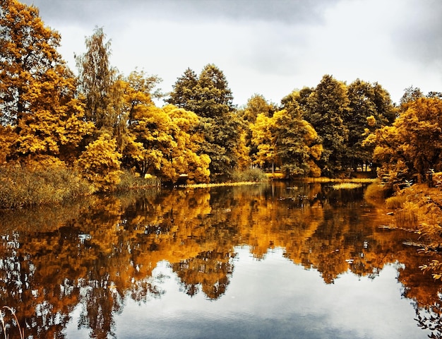 Bellezza del paesaggio autunnale della natura autunnale e del concetto di ambiente