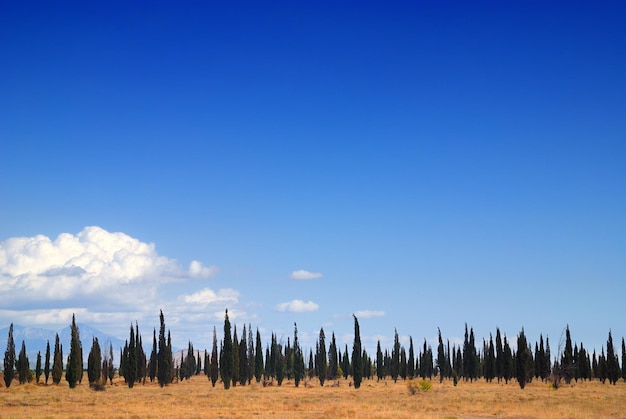 bellezza felicità libertà divertimento acqua di sorgente