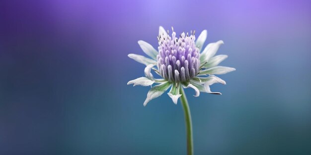 Bellezza fiore viola decorazione del giardino copia spazio sfocato sfondo AI generativa