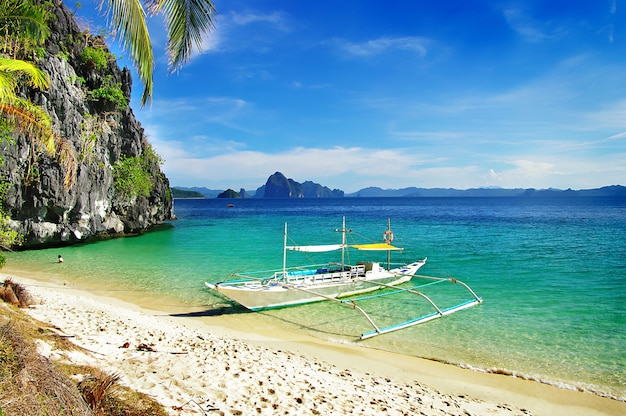 bellezza selvaggia di Palawan