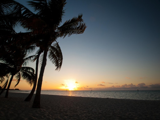 Bellissima alba a Key West, Florida.