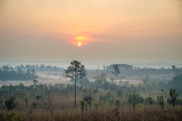 Bellissima alba e nuvole di nebbia nella foresta a Thung Salaeng Luang National ParkThailandia