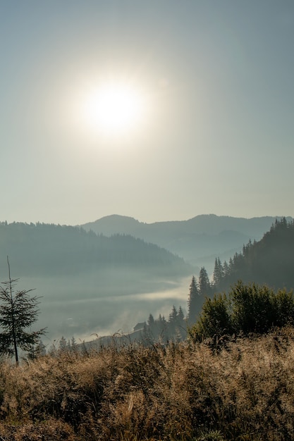 Bellissima alba in montagna con nebbia bianca sotto il panorama.