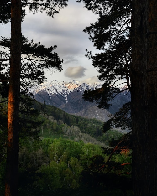 bellissima alba in montagna