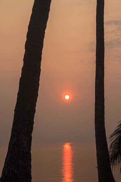 bellissima alba sul mare tropicale