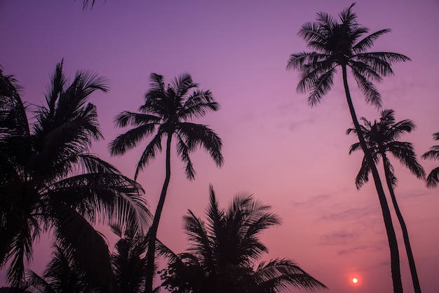 bellissima alba sul mare tropicale