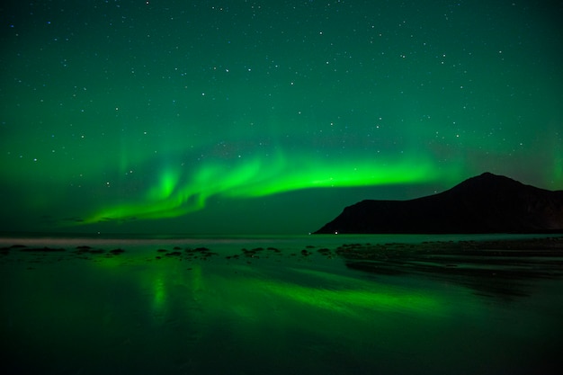 Bellissima aurora boreale nelle Isole Lofoten