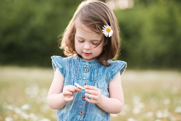 Bellissima bambina con camomilla tra i capelli