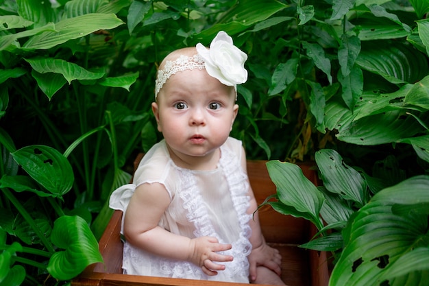Bellissima bambina di 10 mesi seduto sull'erba in estate in un abito bianco